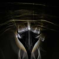 image: Cabernet Blanc Brut nature II