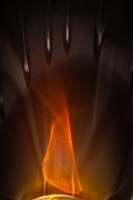 image: Trester vom Rabenhof, 16j Eichenfass I