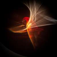 image: Spätburgunder 2008 Barrique I