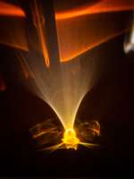 image: Weinhefe 26j Eichenfass I (Dark Knight)