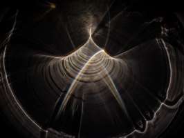 image: Spritziger Rabe 2016 III