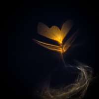 image: Ruländer 1999 II