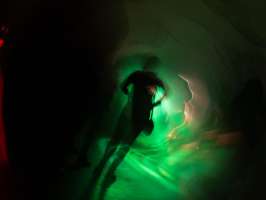 image: Electric Dance III